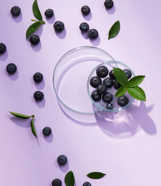 Bilberry Extract